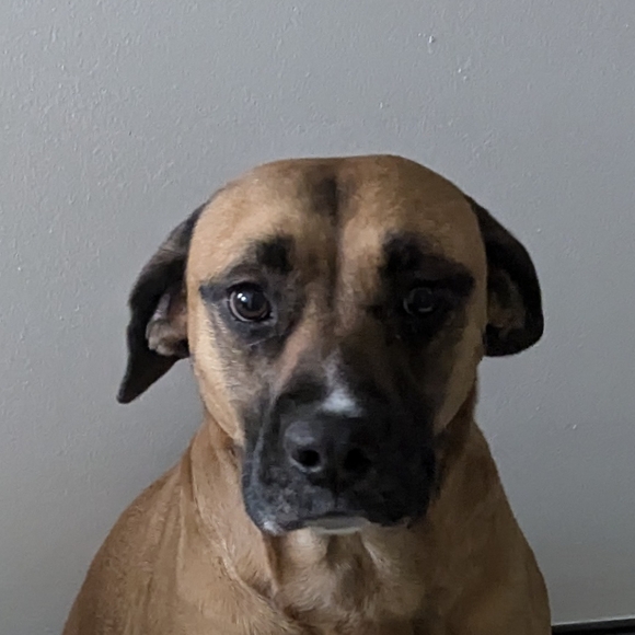 Rudolph Santa Wooden Ornament Set - Picture 6 of 6